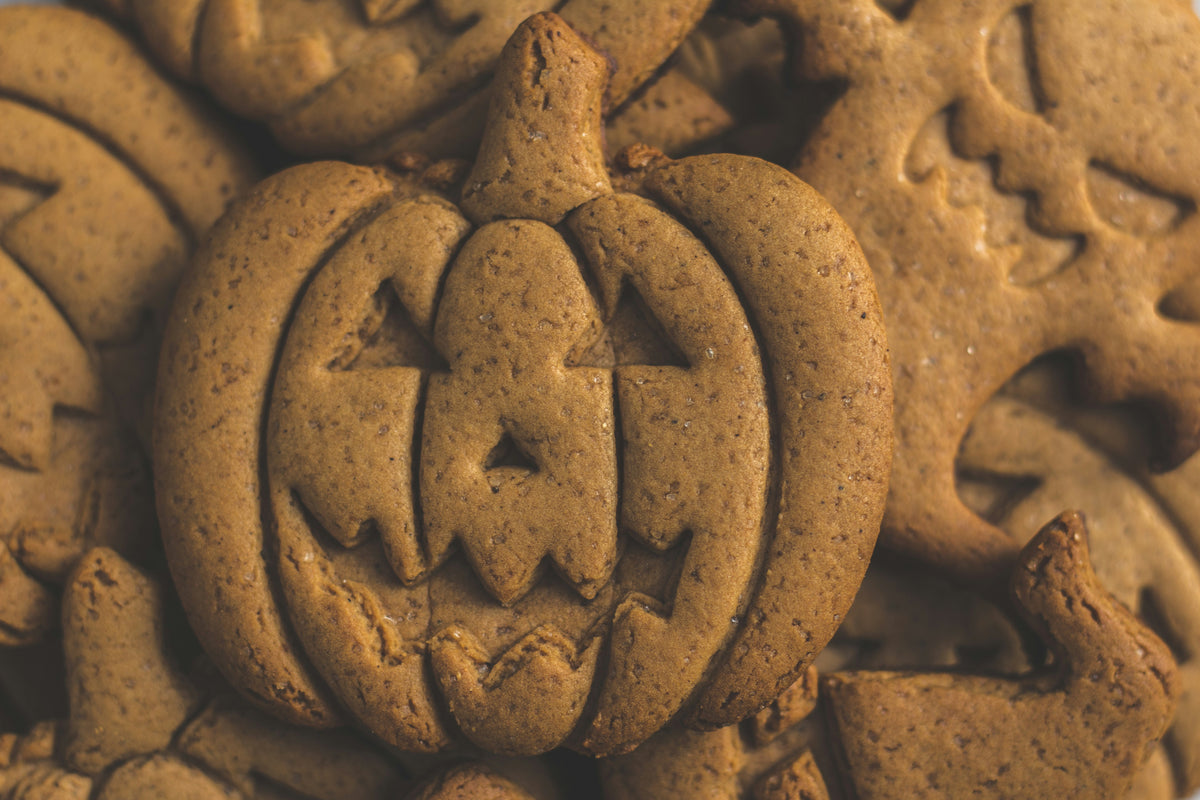 DIY Fall & Spooky Sugar Cookie Decorating Kit